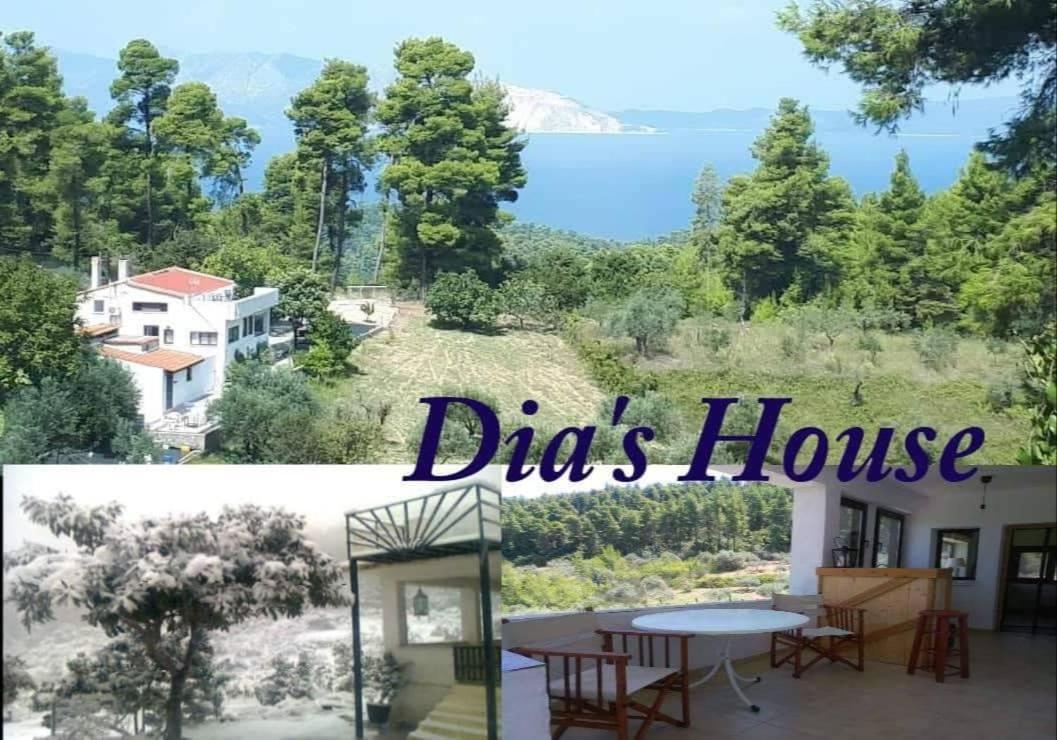 Wildherb House Agriovotano Bagian luar foto