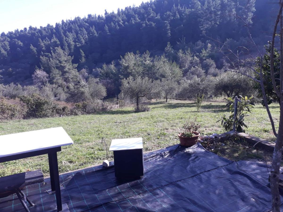 Wildherb House Agriovotano Bagian luar foto