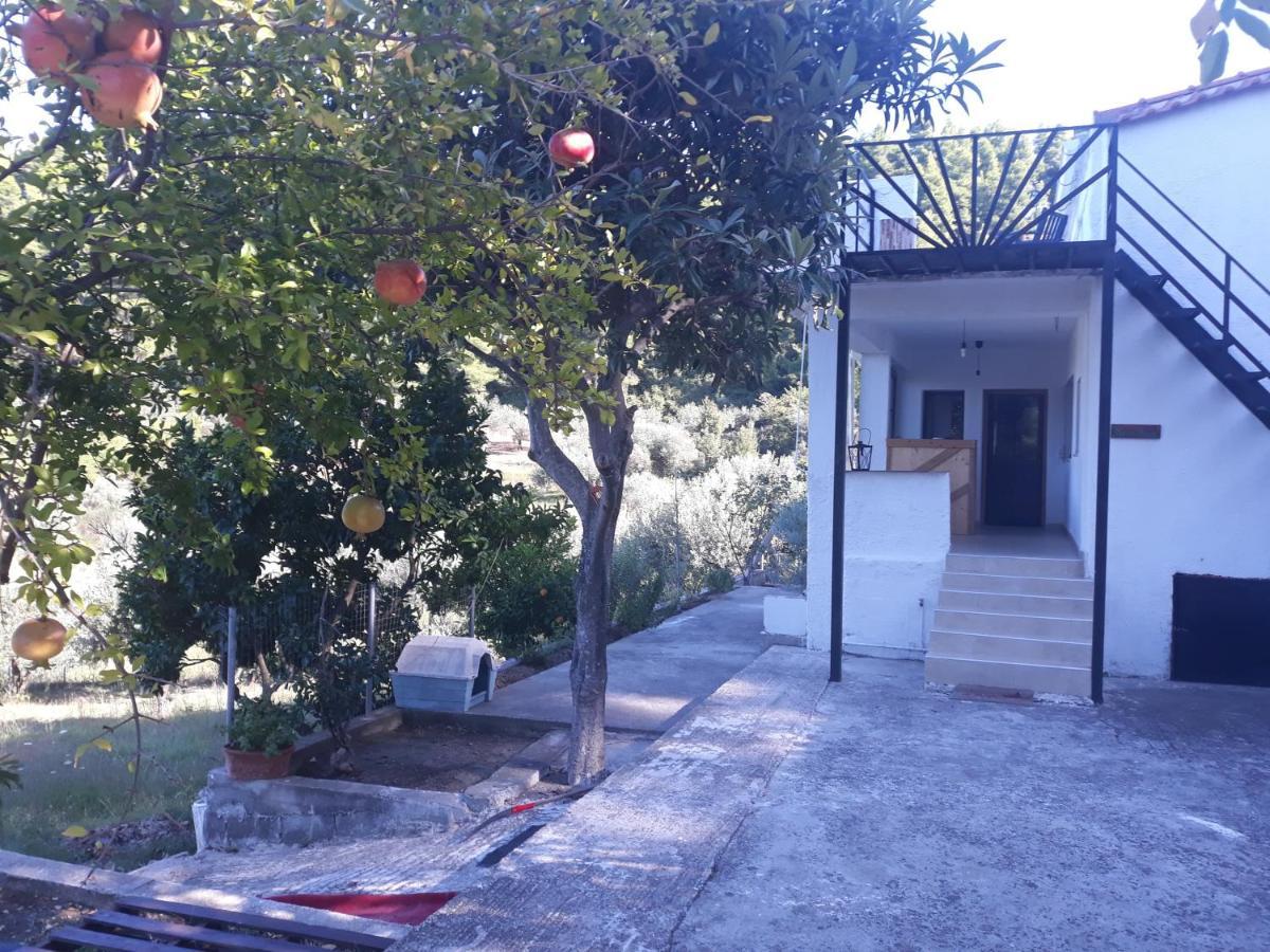 Wildherb House Agriovotano Bagian luar foto
