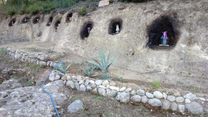 Wildherb House Agriovotano Bagian luar foto